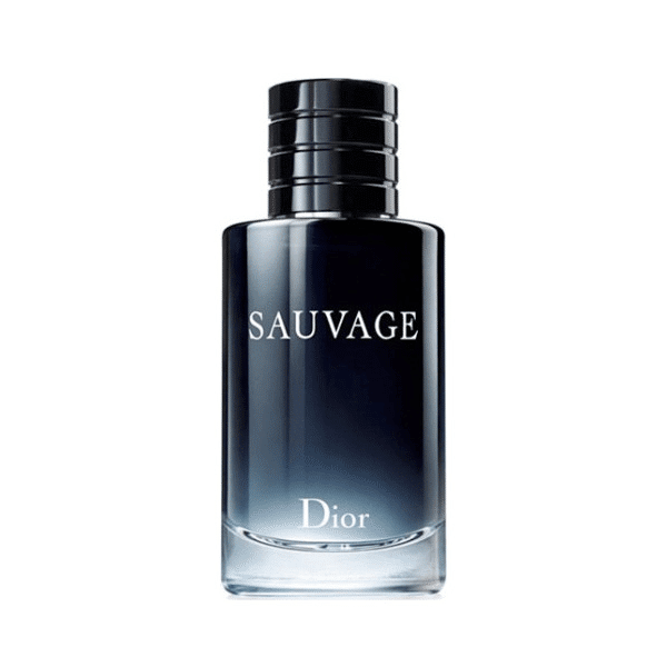عطر مردانه حِس مدل دیور ساوج (کریستین دیور ساواج) – hes – Dior – Dior Sauvage